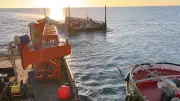 Wal Timmy schwimmt nach Hause: Schlepper-Tross vor Dänemark