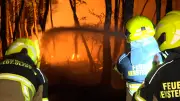 Waldbrand in Schleswig-Holstein: 4000 Quadratmeter in Flammen