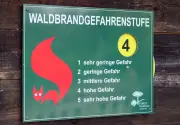 Waldbrandgefahr im Süden Brandenburgs erreicht zweithöchste Alarmstufe
