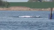 Walforscher warnt: Walrettung auf Barge ist gefährlich
