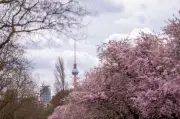 Wechselhaftes Aprilwetter in Berlin und Brandenburg: Schnee möglich