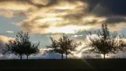 Wechselhaftes Aprilwetter in Sachsen-Anhalt: Sonne am Samstag, Regen am Sonntag