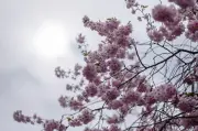 Wechselhaftes Wetter in Berlin und Brandenburg: Nebel weicht der Sonne