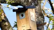 Wein und Vogelschutz: Nistkasten-Verlosung im Biomarkt Neubrandenburg