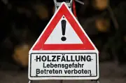 Weniger tödliche Arbeitsunfälle in Sachsen-Anhalt: Vier Fälle 2025 nach zwölf im Vorjahr