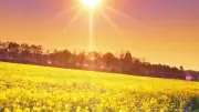 Wetter-Experte erklärt: Darum fühlt sich der Frühling an wie ein Kühling