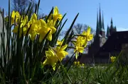 Wetterwende in Mitteldeutschland: Sonne kehrt nach trüben Tagen zurück