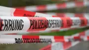 Wildpark Potsdam: Drei Weltkriegs-Bomben erfolgreich gesprengt - Weitere Funde im Süden
