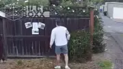 Wildpinkler enttarnt: Nachbarin stellt Jogger an den Foto-Pranger