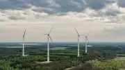 Windpark in Zschornewitz: Investor wehrt sich gegen Kritik von Bürgerinitiative