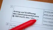 Wirtschaftsforscher schlagen Alarm: Höchste Insolvenzwelle seit 20 Jahren trifft Deutschland