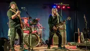 Wochenend-Highlights in Wittenberg: Rocknacht, Flohmärkte und Pflanzenbörsen locken