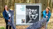 Zoo Rostock: Katta-Foto gewinnt Wettbewerb – Neue Runde startet mit Detailfokus