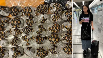 30 Schildkröten am Körper geschmuggelt: Frau am Flughafen Bangkok gefasst