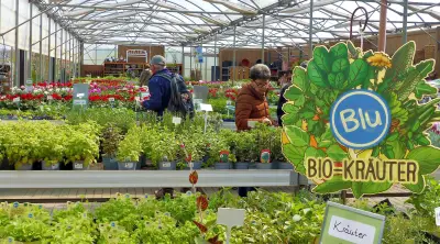 35 Hektar und 35 Jahre: Pflanzenhof Voigt in Priorau feiert Jubiläum