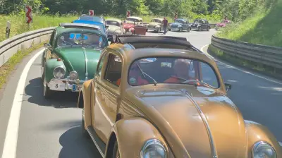 57 Kult-Oldtimer rollen auf Gut Schwechow ein: Käfer-Alarm in MV