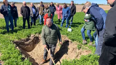 Acker-Experiment in Vorpommern: Bauer testet Käferbank und Vogelstreifen