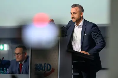 AfD plant in Sachsen-Anhalt 150 bis 200 neue Postenbesetzungen