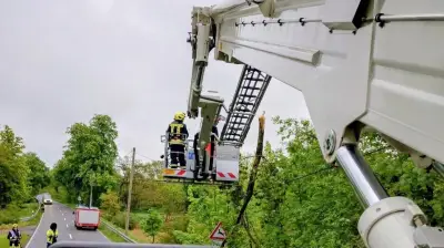 Ast auf Stromleitung: Feuerwehreinsatz an B187 bei Gorsdorf