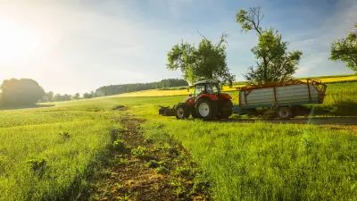 Bauernregeln zum 1. Mai: Regen verheißt gute Ernte