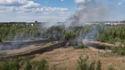 Brand im IGA-Park: Marteria-Konzert gefährdet? Ermittlungen laufen