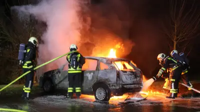 Brandserie in Halle: Kritik an Ermittlungen wächst trotz DNA-Spuren