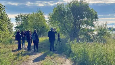 Buntes Frühlingswochenende im Altkreis Bitterfeld: Feste, Musik und Natur
