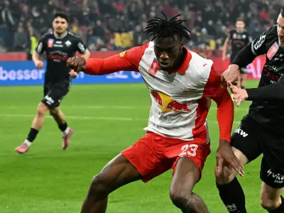 BVB vor erstem Book-Transfer: Einigung mit Gadou