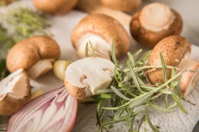 Champignons roh oder erhitzt? So genießen Sie Pilze richtig