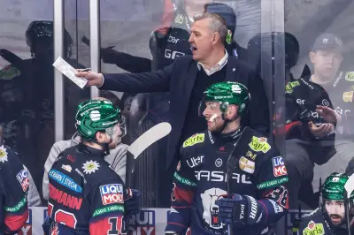 Eishockey: Verlässt Erfolgstrainer Aubin die Eisbären Berlin?
