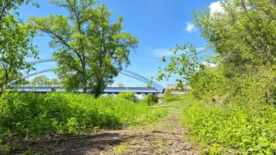 Elster-Radweg bei Halle: Neubau nach zehn Jahren Planung startet
