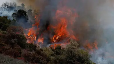 Erneute Waldbrände in Kalifornien: Feuer wütet bei Los Angeles