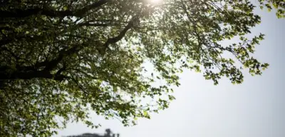 Fast 30 Grad in Cottbus: Mai-Hitze kratzt an Rekordmarke
