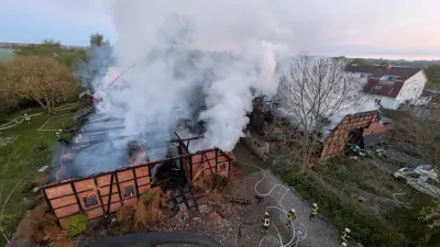 Feuer in Schwanbeck: Zwei Reetdachhäuser zerstört, Bewohner und Hunde gerettet