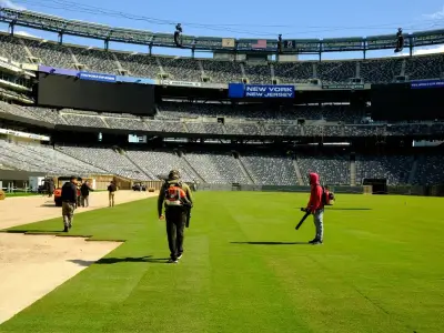 FIFA verlegt speziell gezüchteten Finalrasen ins WM-Stadion