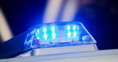 Freinacht in Bayern: Verletzter bei Maibaumklau in Schwaben