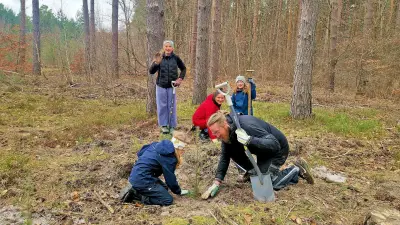 Freiwillige Waldbauer: Helfer packen in der Dübener Heide an