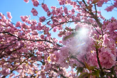 Frühsommerliches Intermezzo: Bis zu 29 Grad am Maiwochenende