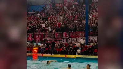 Fußball-Fans wechseln ins Wasser: Stimmung beim Wasserball