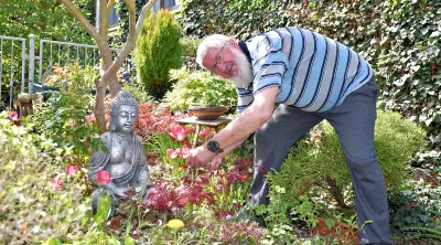 Gartenparadies im Burgenlandkreis: Vom Rübenacker zum Bonsai-Traum