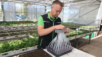 Gartenprofi Vorpahl: Saisonstart mit 50 Tomatensorten und Personalsorgen