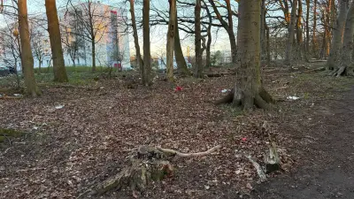 Geocacher räumen Müll im Mueßer Holz auf – Waldaktion in Schwerin