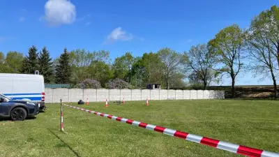 Goldspürhunde durchkämmen Grundstück in Plate: Suche nach Manching-Schatz