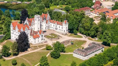 Graugänse-Küken verzaubern Besucher auf Schlossinsel Boitzenburg