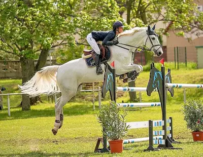 Greppiner Derby: Vier Tage Reitsport, Party und Familienprogramm