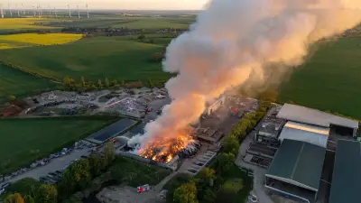 Großbrand bei Remondis in Weißenfels: Ursache und Folgen für die Branche