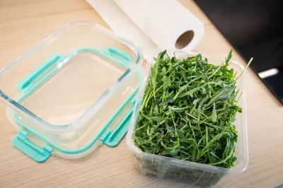 Hack-Check: So bleibt Rucola länger frisch – Küchenpapier-Trick getestet