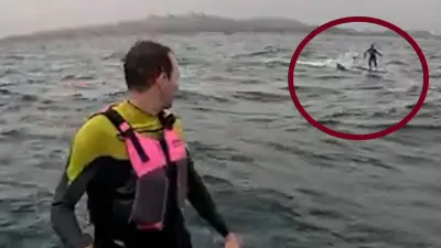 Hai verfolgt Surfer zehn Minuten vor Kalifornien-Küste