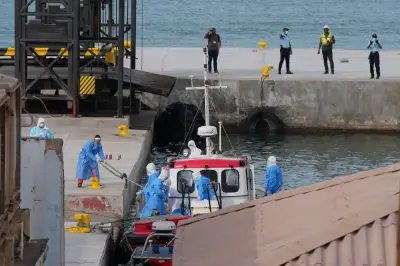 Hantavirus auf Kreuzfahrtschiff: Wie gefährlich ist die Infektion?