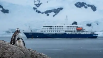 Hantavirus-Ausbruch auf Antarktis-Schiff: 32.000 Euro für Superior-Kabine